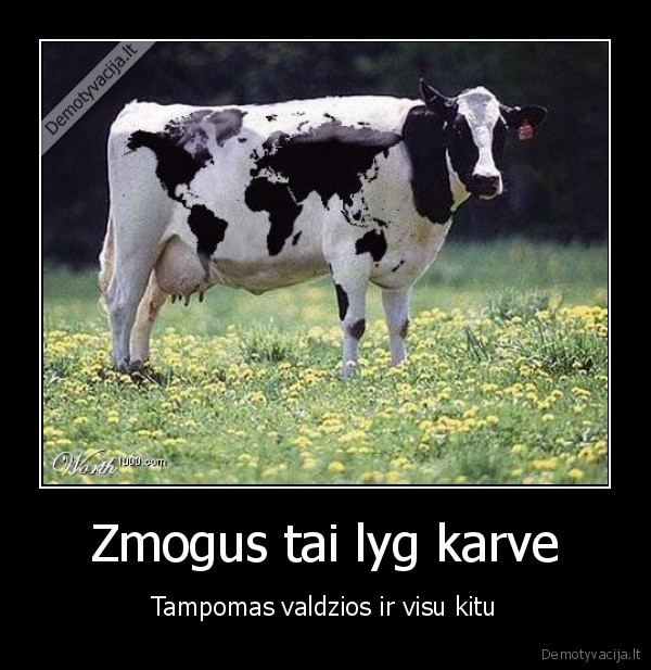 Zmogus tai lyg karve - Tampomas valdzios ir visu kitu