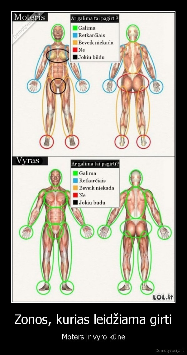 Zonos, kurias leidžiama girti - Moters ir vyro kūne
