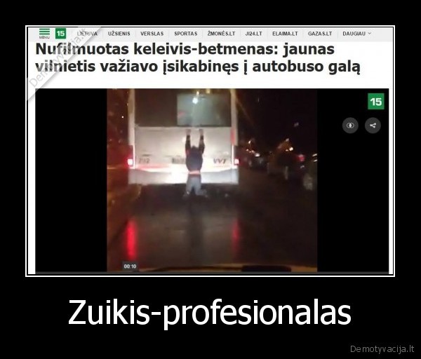 Zuikis-profesionalas - 