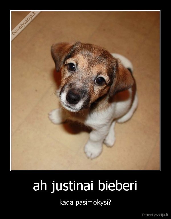 ah justinai bieberi - kada pasimokysi?