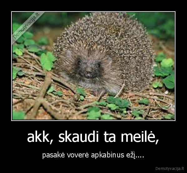 akk, skaudi ta meilė, - pasakė voverė apkabinus ežį....