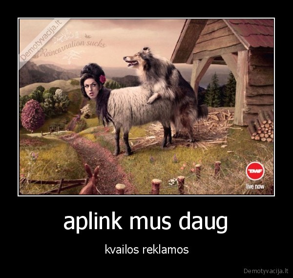 aplink mus daug - kvailos reklamos