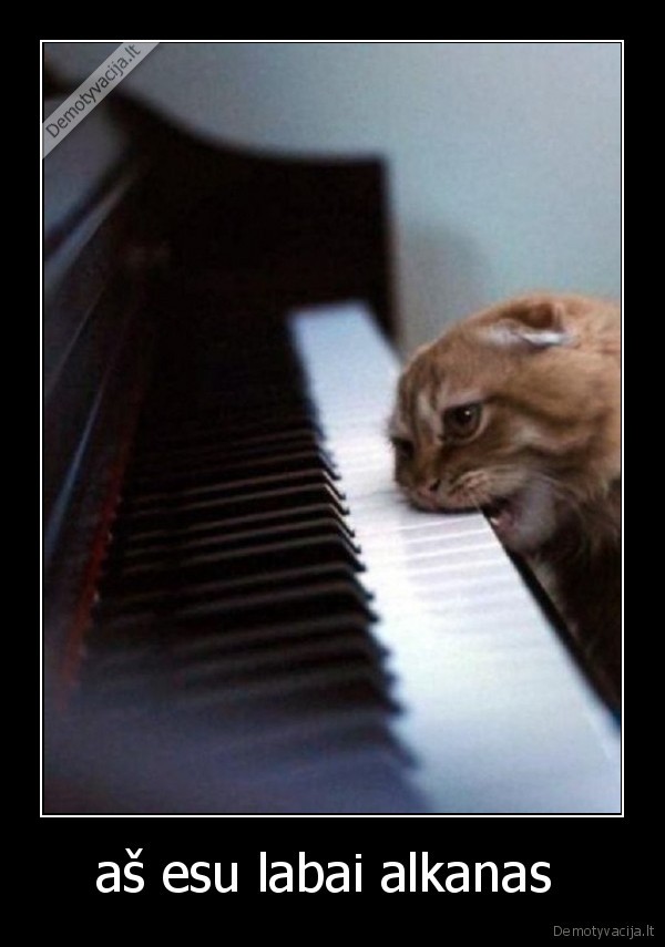 aš esu labai alkanas  - 