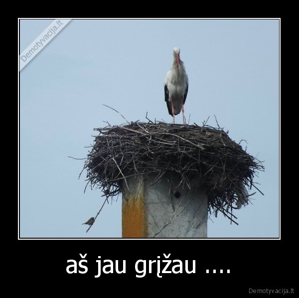 aš jau grįžau .... - 