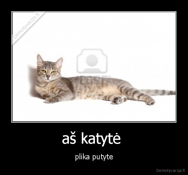 aš katytė  - plika putyte