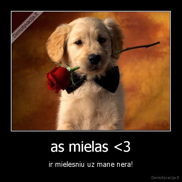 as mielas <3 - ir mielesniu uz mane nera!