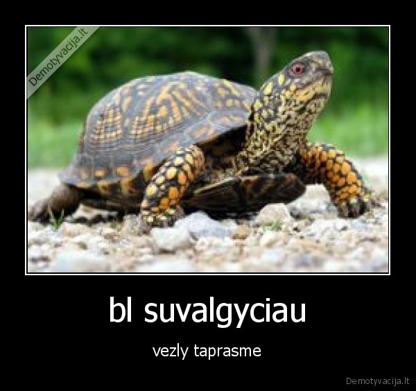 bl suvalgyciau - vezly taprasme