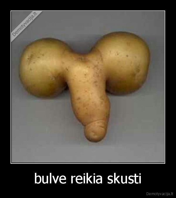 bulve reikia skusti - 