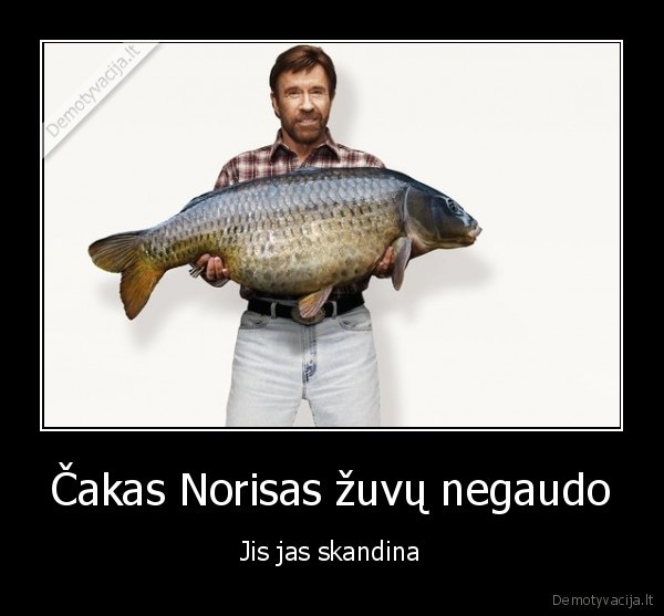 Čakas Norisas žuvų negaudo - Jis jas skandina