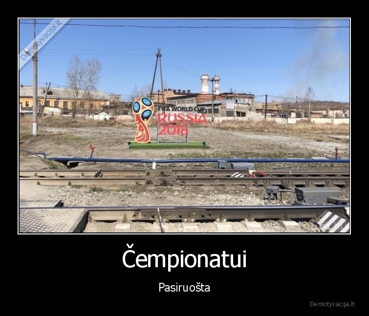 Čempionatui - Pasiruošta