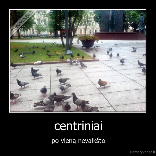 centriniai - po vieną nevaikšto