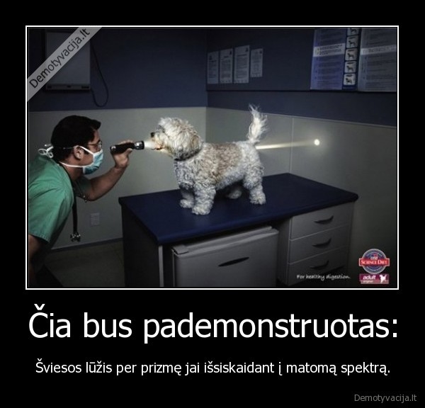 Čia bus pademonstruotas: - Šviesos lūžis per prizmę jai išsiskaidant į matomą spektrą.