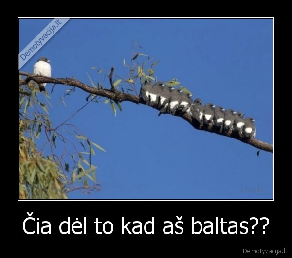 Čia dėl to kad aš baltas?? - 