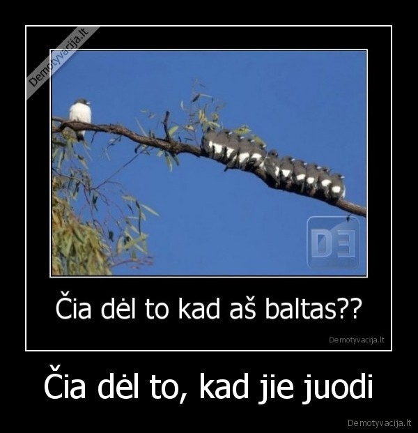 Čia dėl to, kad jie juodi - 