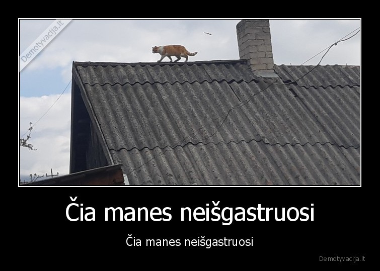 Čia manes neišgastruosi - Čia manes neišgastruosi