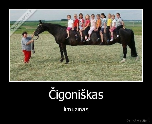 Čigoniškas - limuzinas