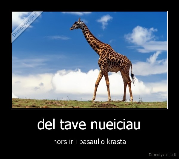del tave nueiciau - nors ir i pasaulio krasta