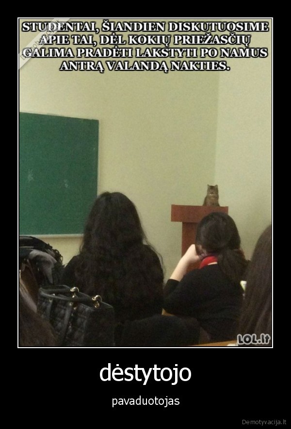 dėstytojo - pavaduotojas