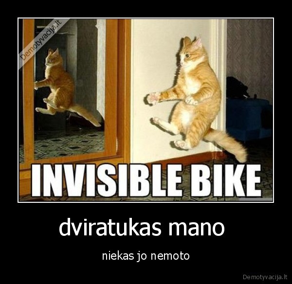 dviratukas mano  - niekas jo nemoto