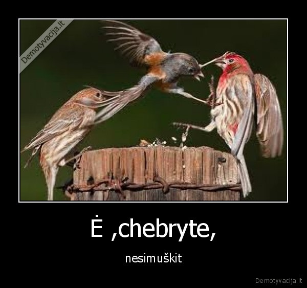 Ė ,chebryte, - nesimuškit