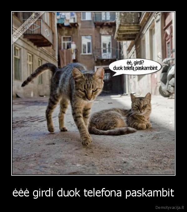 ėėė girdi duok telefona paskambit - 