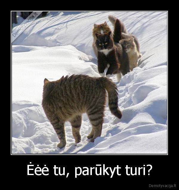 Ėėė tu, parūkyt turi? - 