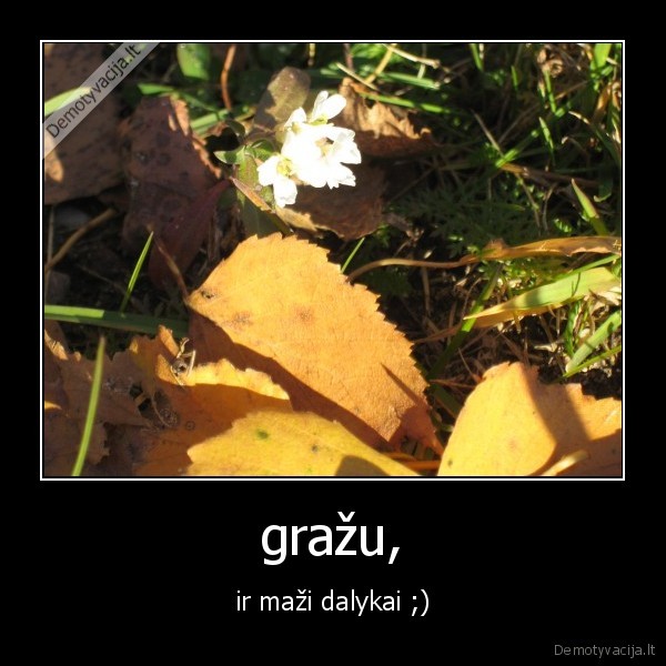 gražu, - ir maži dalykai ;)