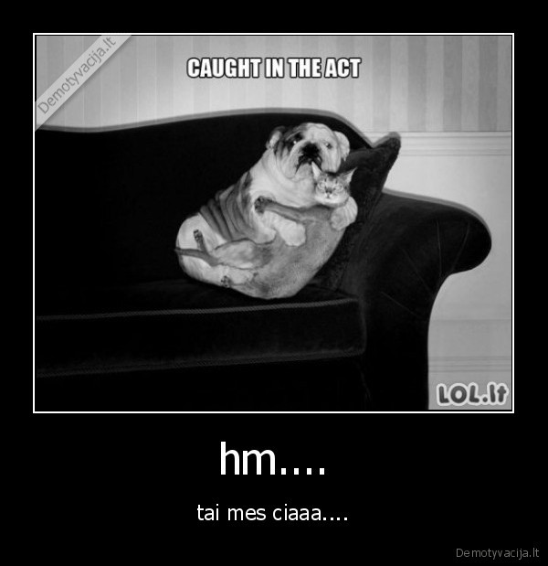 hm.... - tai mes ciaaa....