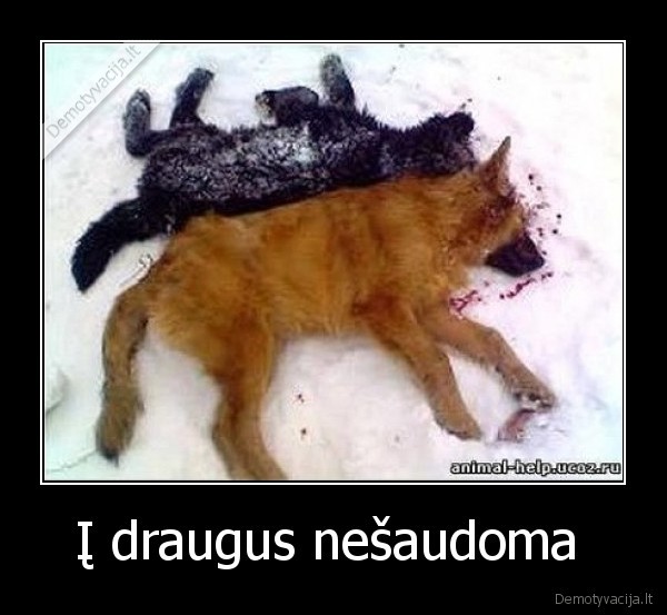 Į draugus nešaudoma  - 