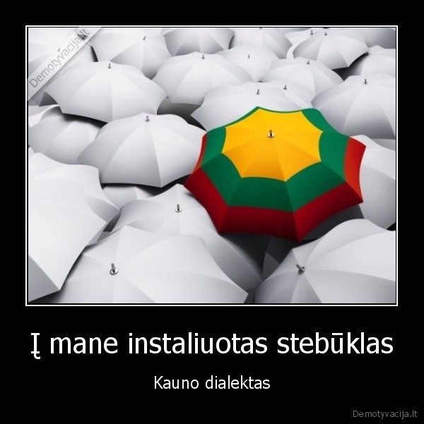 Į mane instaliuotas stebūklas - Kauno dialektas