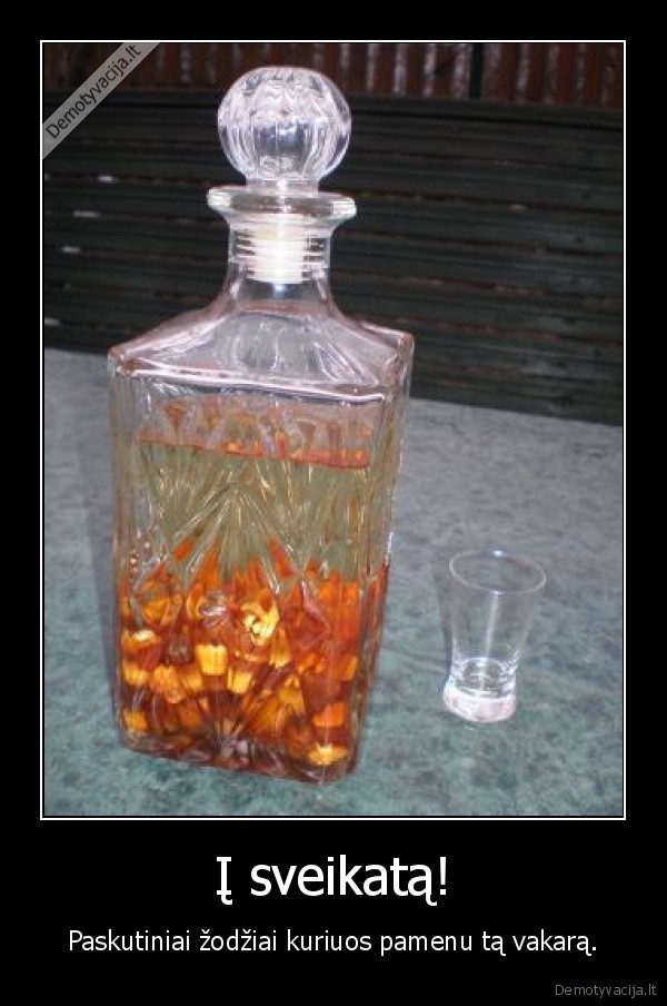 Į sveikatą! - Paskutiniai žodžiai kuriuos pamenu tą vakarą.