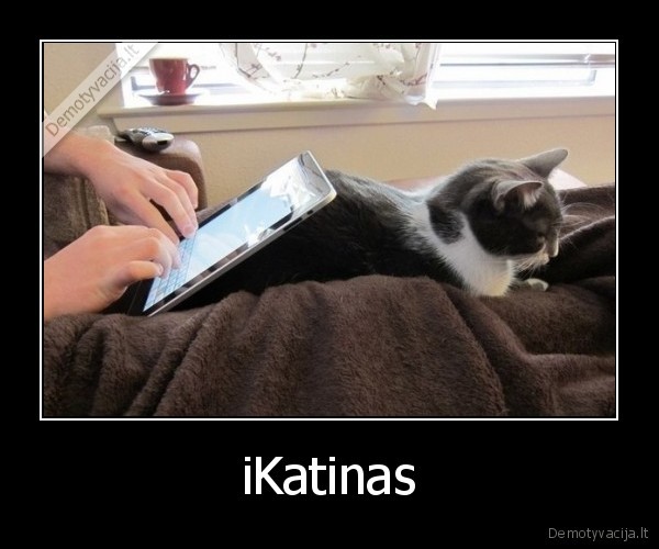 iKatinas - 