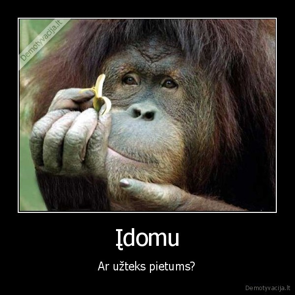 Įdomu - Ar užteks pietums?