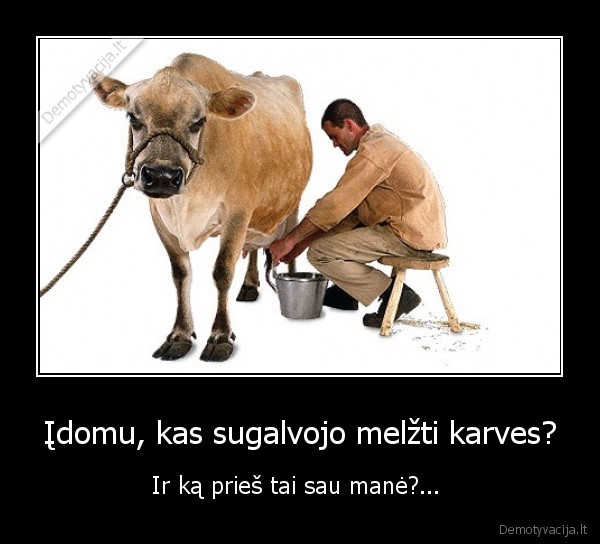 Įdomu, kas sugalvojo melžti karves? - Ir ką prieš tai sau manė?... 