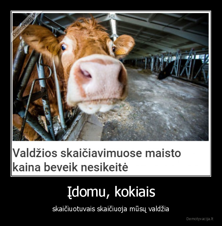 Įdomu, kokiais - skaičiuotuvais skaičiuoja mūsų valdžia