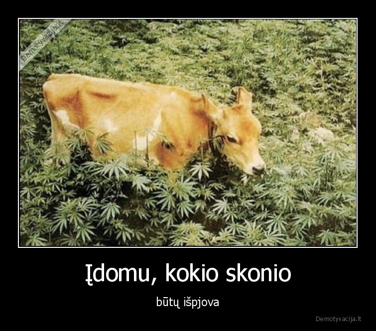 Įdomu, kokio skonio - būtų išpjova