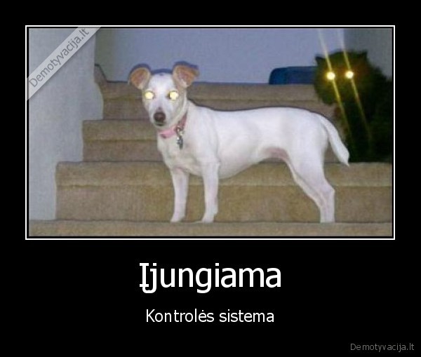 Įjungiama - Kontrolės sistema