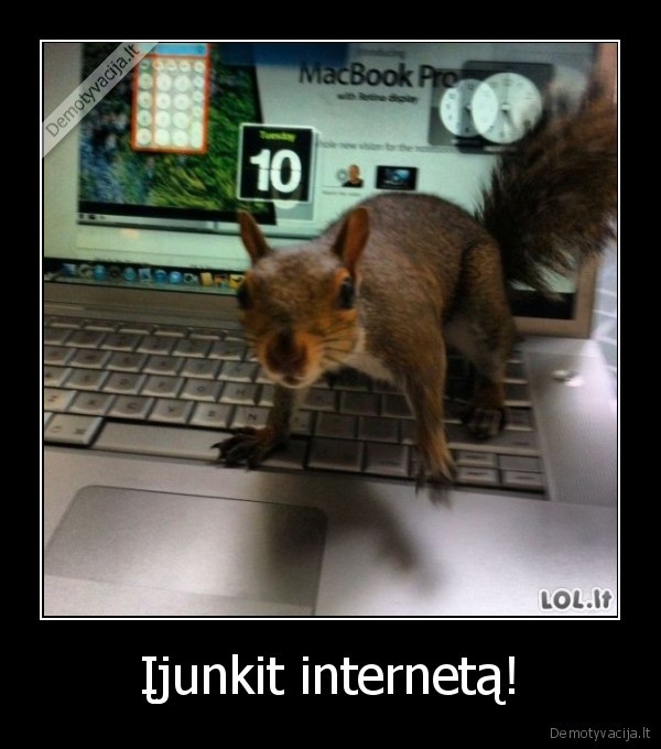 Įjunkit internetą! - 