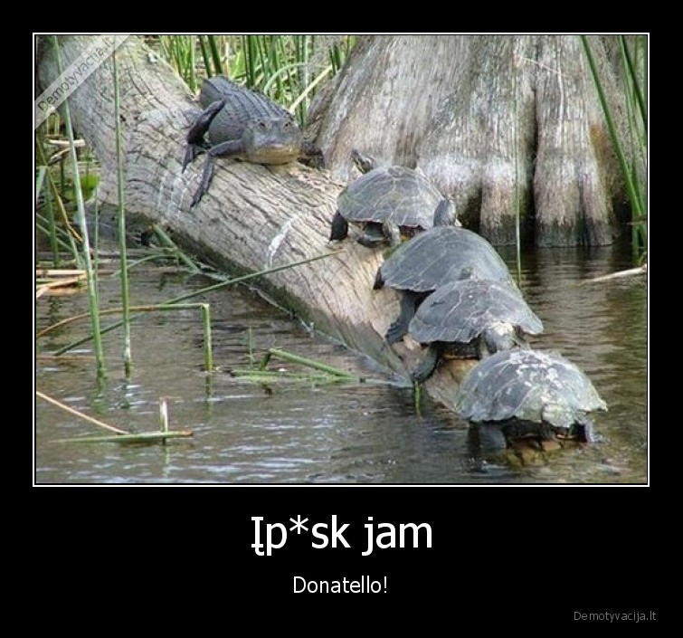 Įp*sk jam - Donatello!