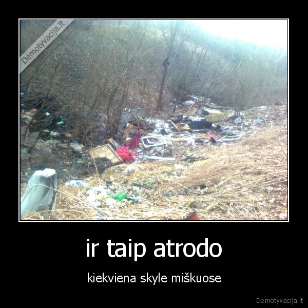 ir taip atrodo - kiekviena skyle miškuose