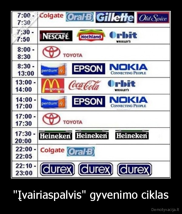 "Įvairiaspalvis" gyvenimo ciklas - 