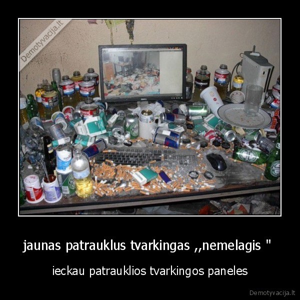 jaunas patrauklus tvarkingas ,,nemelagis "  - ieckau patrauklios tvarkingos paneles