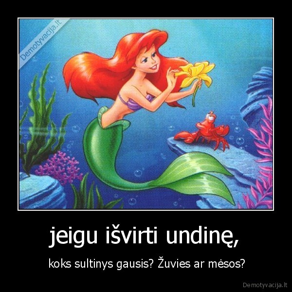 jeigu išvirti undinę, -  koks sultinys gausis? Žuvies ar mėsos?