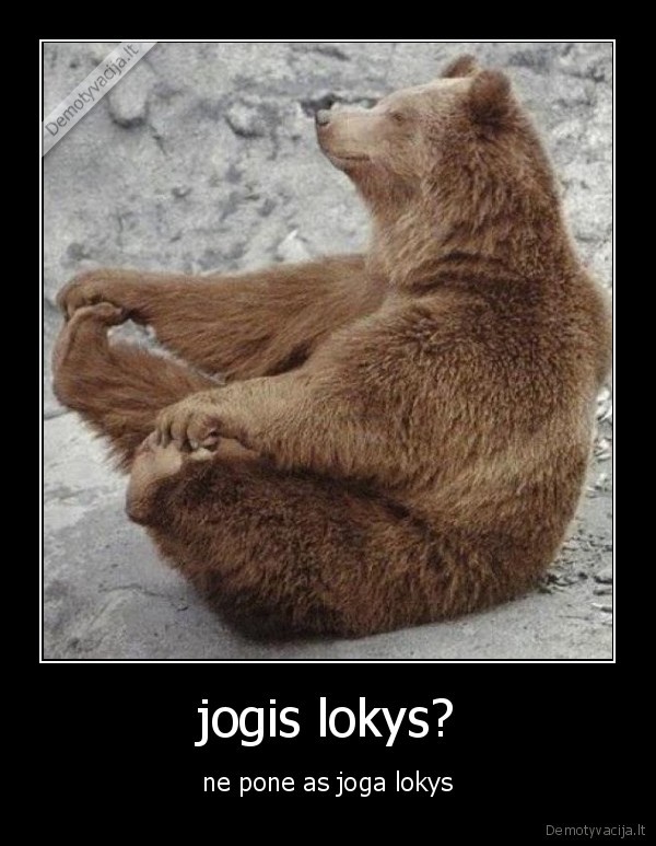 jogis lokys? - ne pone as joga lokys