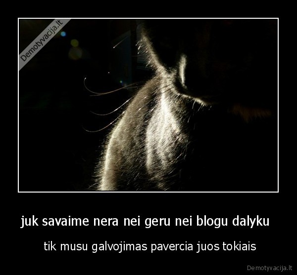 juk savaime nera nei geru nei blogu dalyku  -  tik musu galvojimas pavercia juos tokiais