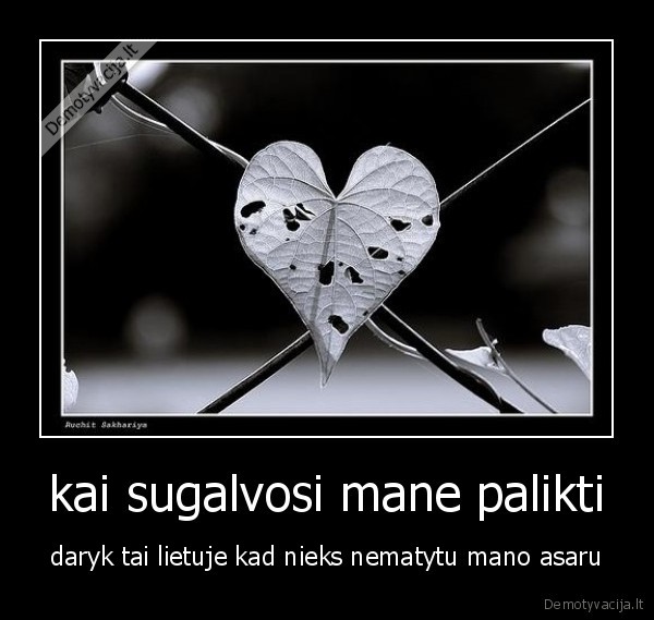 kai sugalvosi mane palikti - daryk tai lietuje kad nieks nematytu mano asaru