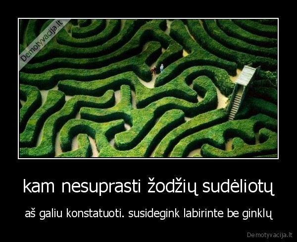 kam nesuprasti žodžių sudėliotų - aš galiu konstatuoti. susidegink labirinte be ginklų