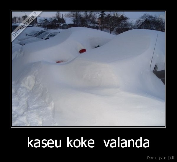 kaseu koke  valanda - 