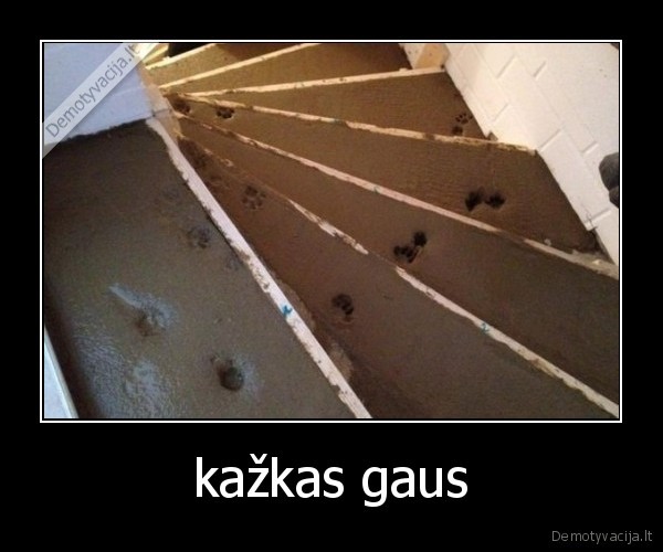 kažkas gaus - 