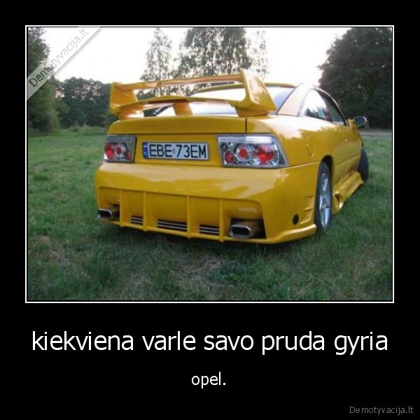 kiekviena varle savo pruda gyria - opel.